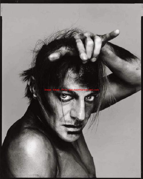 A lamb amongst the ....