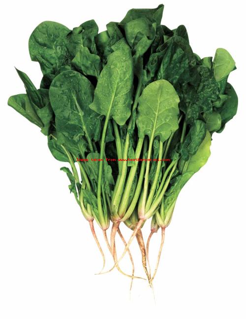 Spinach and Spaghetti....