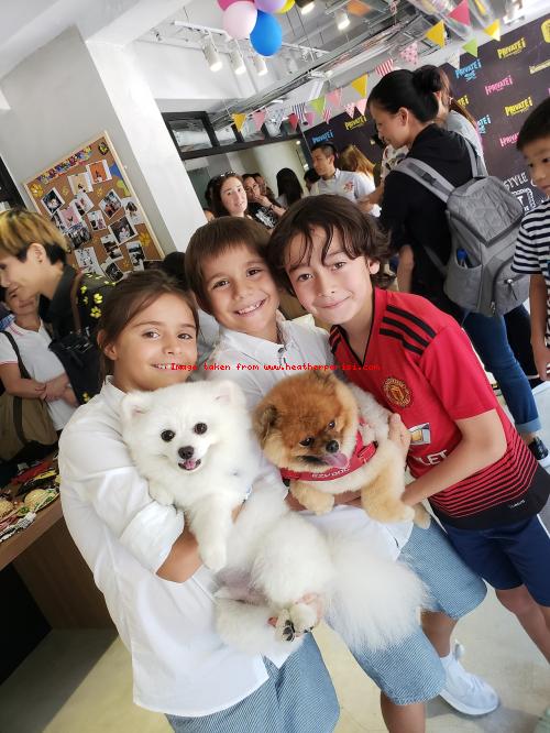 A Smile after the Hurricane ....