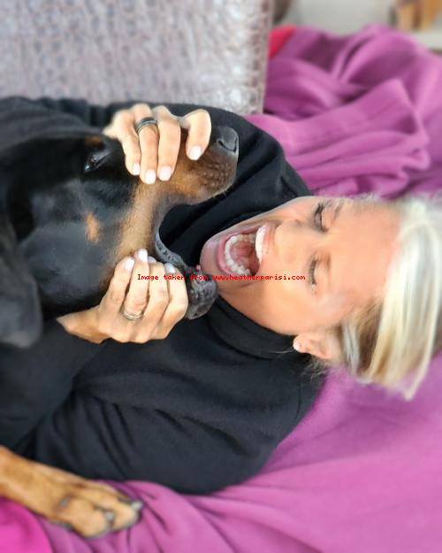 Il Moralismo d'accatto